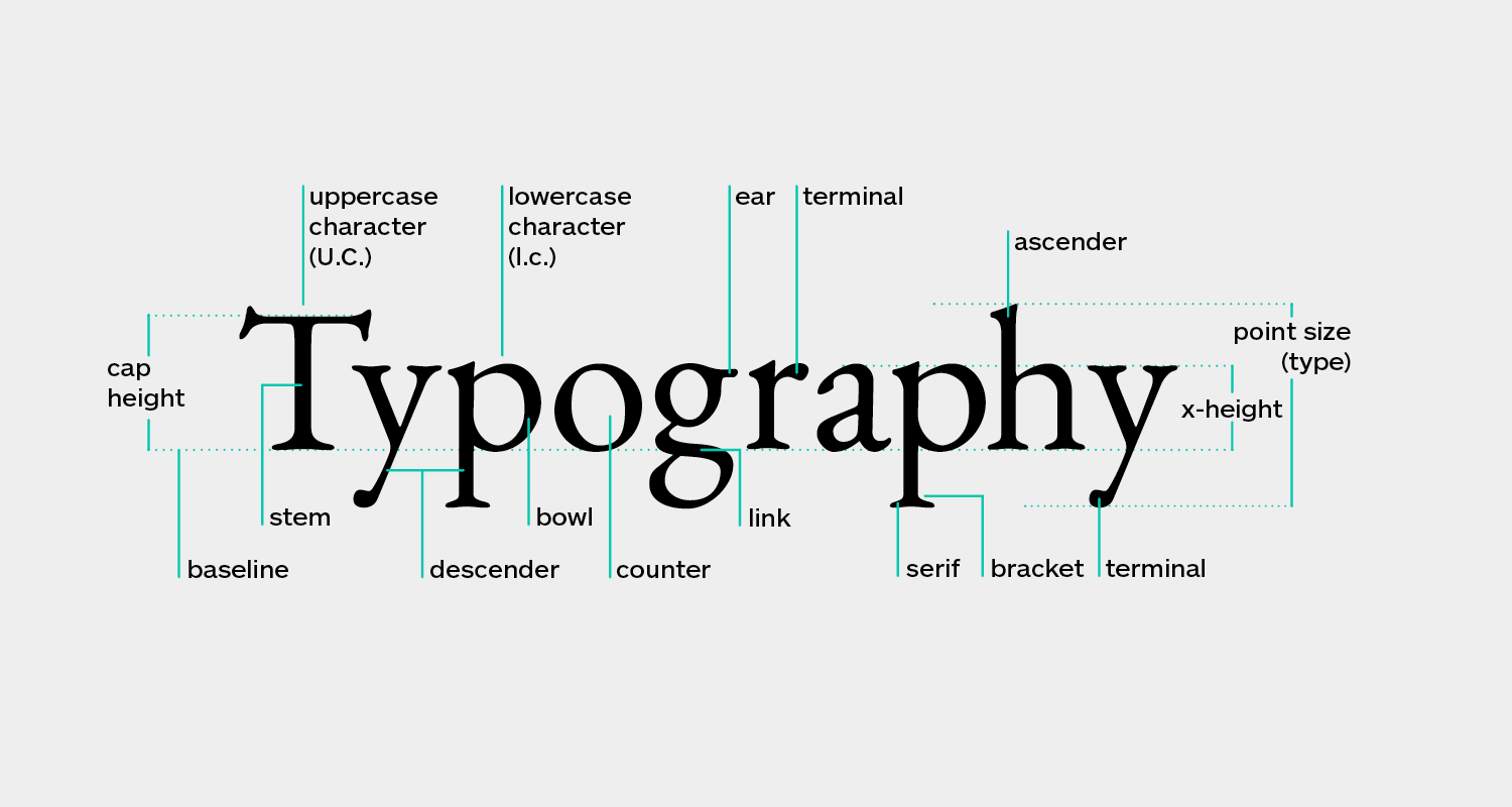 Typography_Anatomy.jpg
