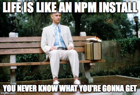 npm_meme.jpg